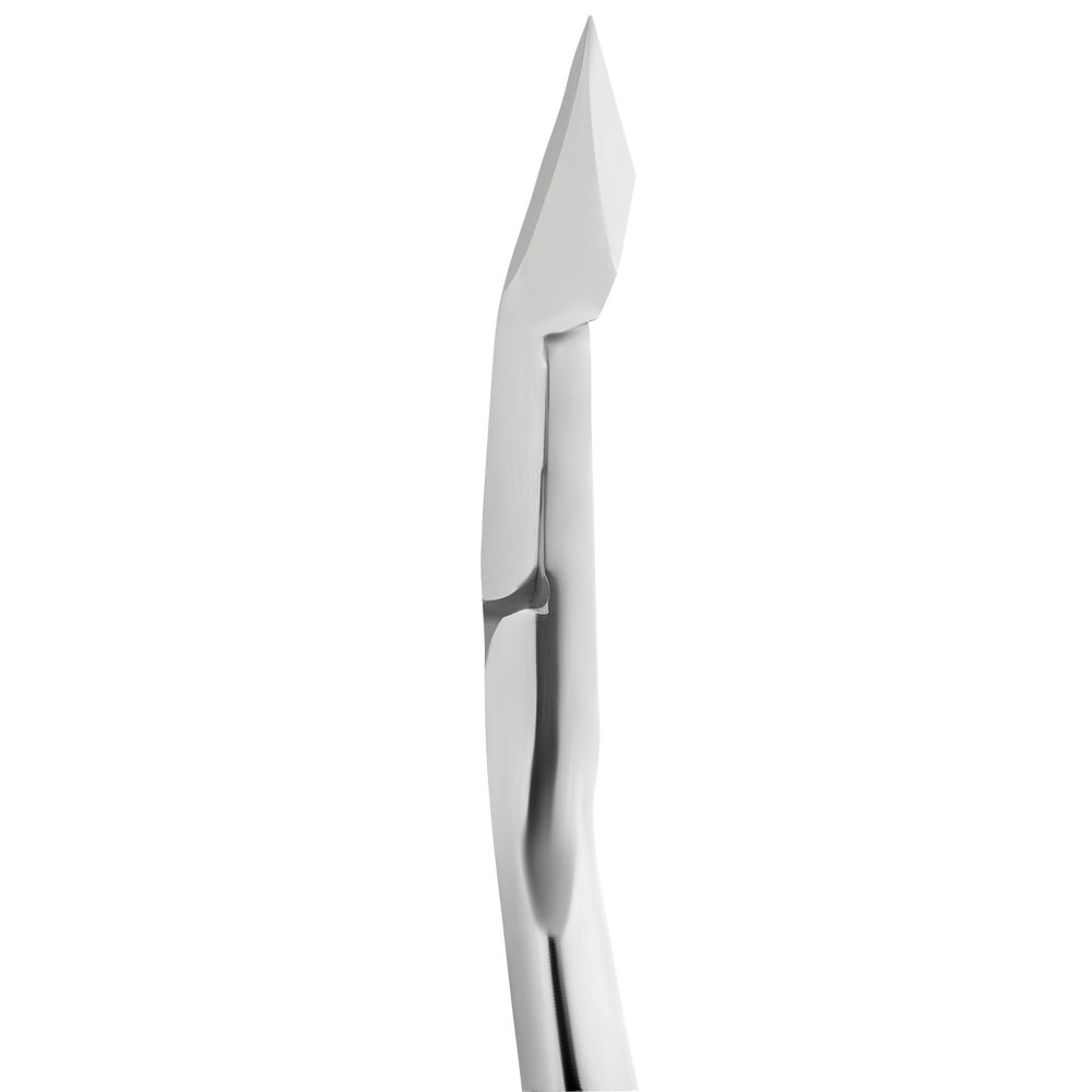 ne-80-9_4