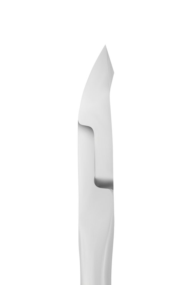ne-91-5_4