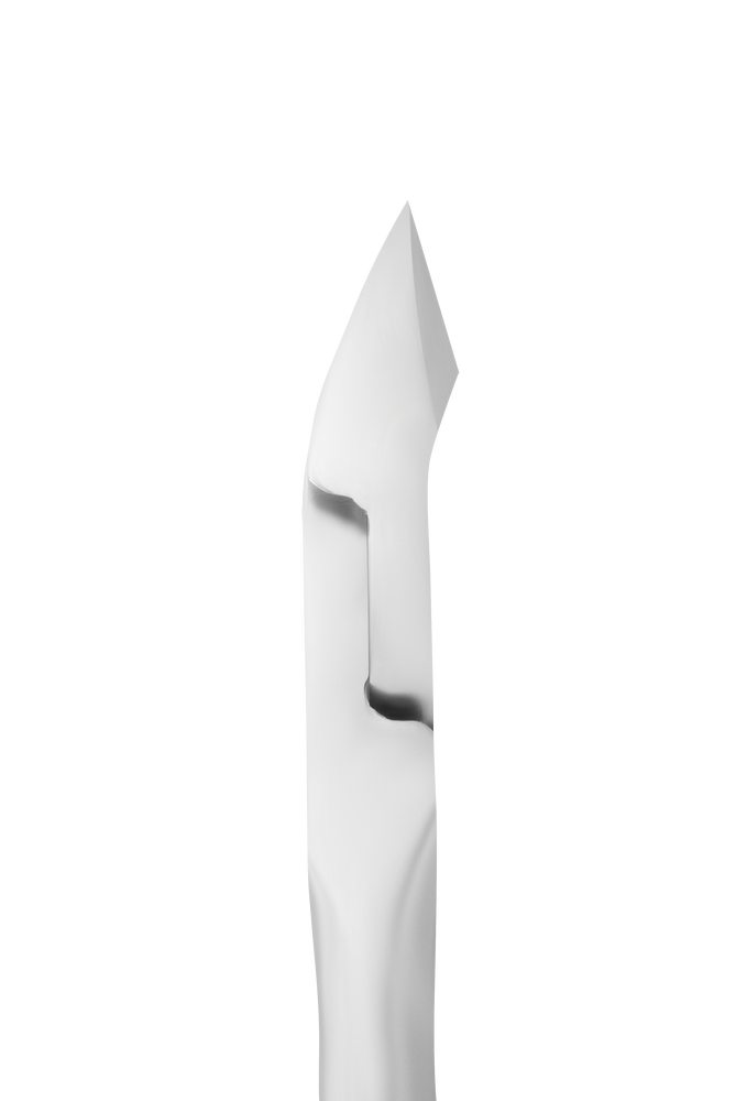 ne-91-9_4